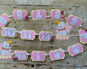 Dumbo inspired floral milestone banner