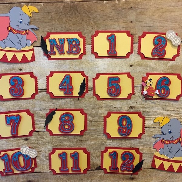 Dumbo inspired milestone banner/dumbo monthly banner/dumbo banner/dumbo birthday/dumbo theme/dumbo party/dumbo theme/first birthday decor