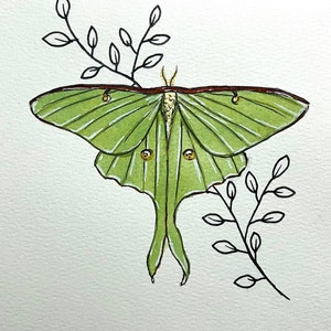 Luna Moth Original Watercolor Painting, Small Luna Moon Moth Art, Moth Wall Art, Original Moth Painting, Luna Green Moth Painting Insect
