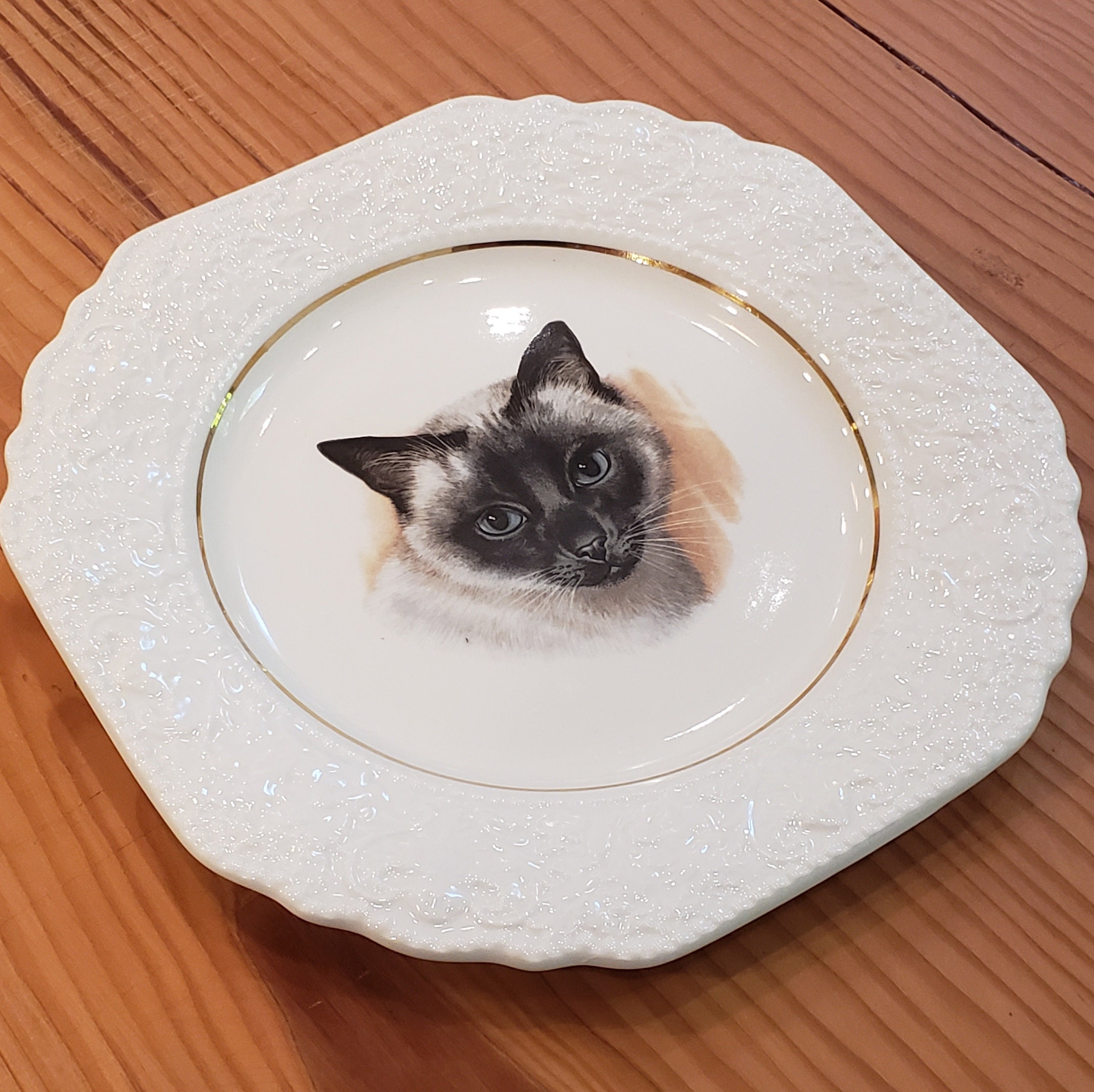 Vintage Lord Nelson Cat Portrait Plate White and Black Kitty Cat Made in England