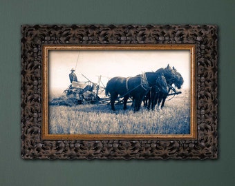 Printable Vintage Photograph // Canadian Settlers 1900s // Horse Drawn Wheat Harvester 2// Digital Download