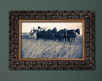 Printable Vintage Photograph // Canadian Settlers 1900s // Horse Drawn Wheat Harvester // Digital Download