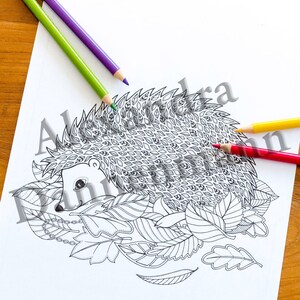 Printable Digital Coloring Book for Children and Adults, THE SECRET of the FOREST, Hand Drawn Coloring Pages Download, Alexandra Dannenmann image 7