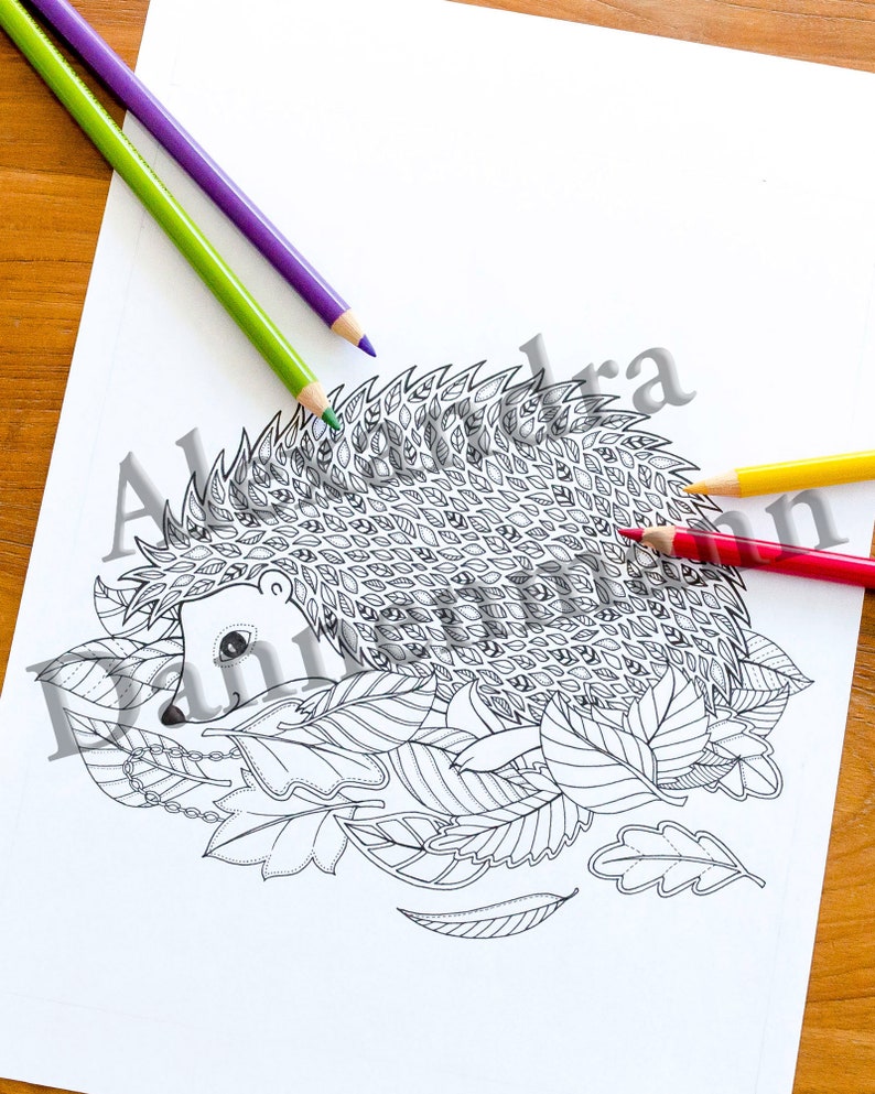 Printable Digital Coloring Book for Children and Adults, THE SECRET of the FOREST, Hand Drawn Coloring Pages Download, Alexandra Dannenmann image 7