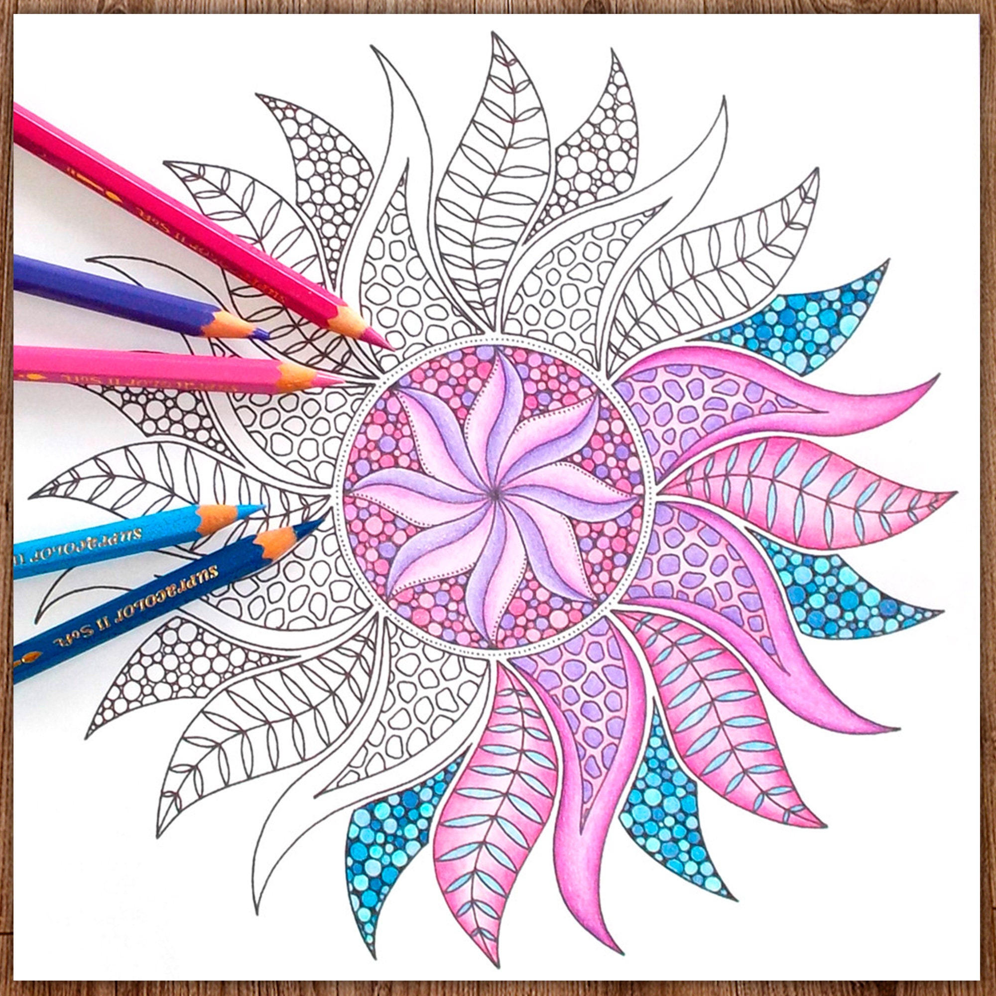 Leaf and Petal Sun Mandala — coloring book cover