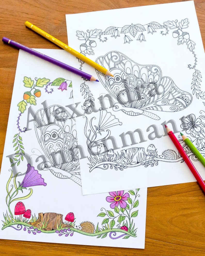 Printable Digital Coloring Book for Children and Adults, THE SECRET of the FOREST, Hand Drawn Coloring Pages Download, Alexandra Dannenmann image 2