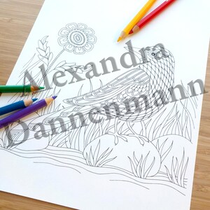 Printable Digital Coloring Book for Grownups, The MAGIC OF FLOWERS, Hand Drawn Adult Coloring Pages Download, Alexandra Dannenmann image 3