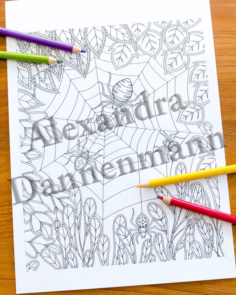 Printable Digital Coloring Book for Children and Adults, THE SECRET of the FOREST, Hand Drawn Coloring Pages Download, Alexandra Dannenmann image 8