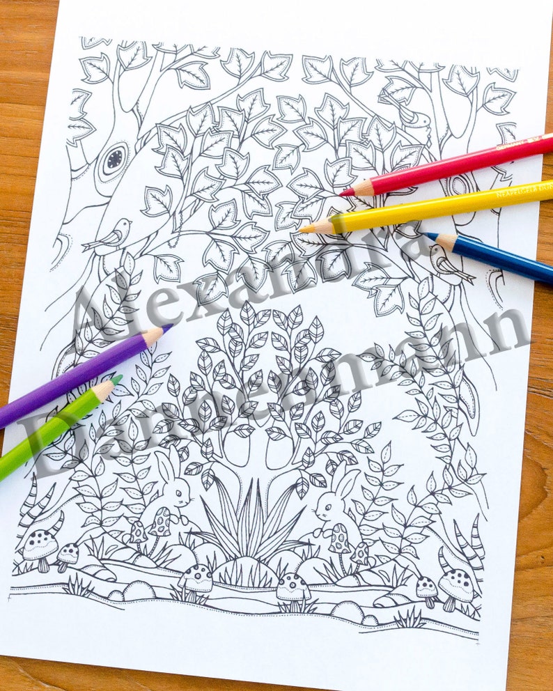 Printable Digital Coloring Book for Children and Adults, THE SECRET of the FOREST, Hand Drawn Coloring Pages Download, Alexandra Dannenmann image 10