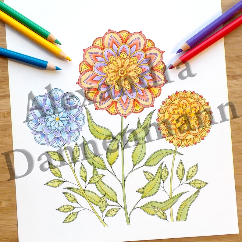 Printable Digital Coloring Book for Grownups, The MAGIC OF FLOWERS, Hand Drawn Adult Coloring Pages Download, Alexandra Dannenmann image 2