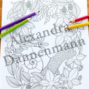 Printable Digital Coloring Book for Children and Adults, THE SECRET of the FOREST, Hand Drawn Coloring Pages Download, Alexandra Dannenmann image 6