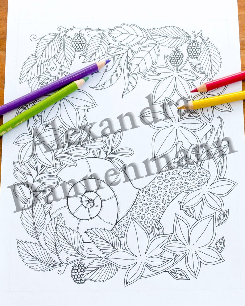 Printable Digital Coloring Book for Children and Adults, THE SECRET of the FOREST, Hand Drawn Coloring Pages Download, Alexandra Dannenmann image 6