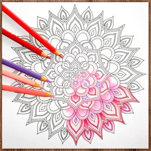 Printable Digital Coloring Page for Grownups, MANDALA, Adult Coloring Page Hand Drawn Coloring Page Download, Alexandra Dannenmann