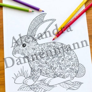 Printable Digital Coloring Book for Children and Adults, THE SECRET of the FOREST, Hand Drawn Coloring Pages Download, Alexandra Dannenmann image 4