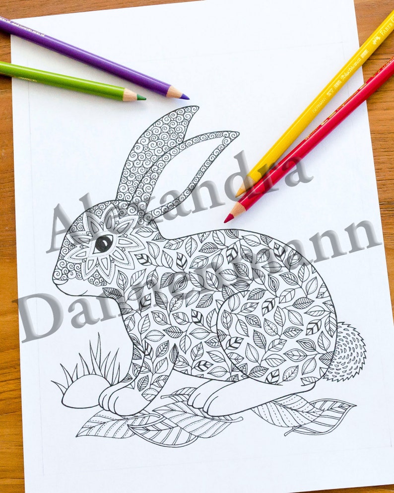 Printable Digital Coloring Book for Children and Adults, THE SECRET of the FOREST, Hand Drawn Coloring Pages Download, Alexandra Dannenmann image 4