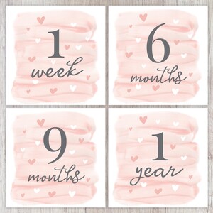 Cartes d'étape imprimables pour bébé fille sur le thème de l'amour | Souvenirs | Petite fille | Première année