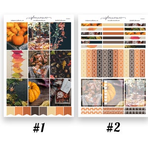 Autumn DELUXE KIT Planner Sticker Erin Condren Planner Weekly Kit 260 ...