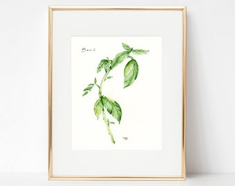 Garden Herbs - Basil - Watercolor Print