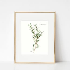 Garden Herbs - Rosemary - Watercolor Print
