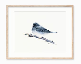 Male Dark-Eyed Junco - Watercolor Print