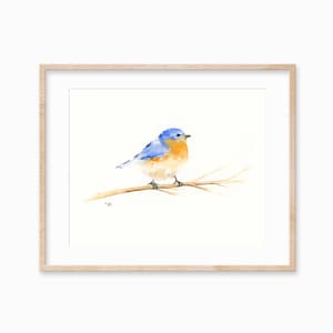 Eastern Bluebird - Watercolor Print