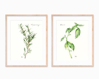 Garden Herbs - Rosemary & Basil Set - Watercolor Prints