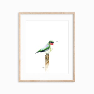 Ruby Throated Hummingbird - Watercolor Print