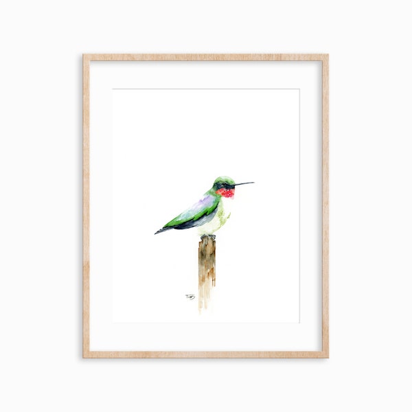Ruby Throated Hummingbird - Watercolor Print