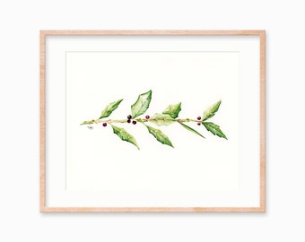 Puede incluir: Pintura a la acuarela de una ramita de hojas verdes con pequeñas bayas rojas. La obra de arte está enmarcada en un marco de madera clara con un passe-partout blanco. Las hojas tienen venas detalladas y las bayas son redondas.