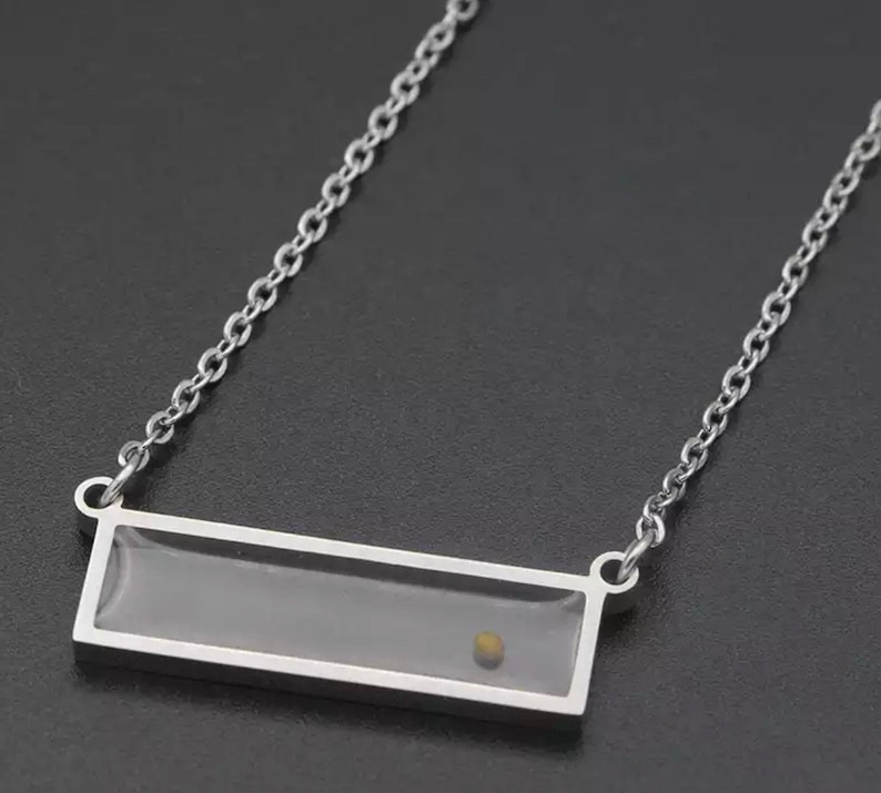 Pu&ograve; includere: Una collana con catena d'argento con un ciondolo rettangolare. Il ciondolo ha un inserto in vetro trasparente che contiene un piccolo oggetto rotondo di colore dorato.