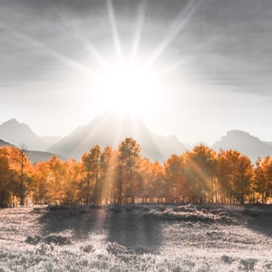 Grand Tetons, druckbare Wandkunst, Oxbow Bend, Herbstfarben, Nationalparks, Grand Teton Nationalpark, Angeln, Wyoming, schwarz und weiß