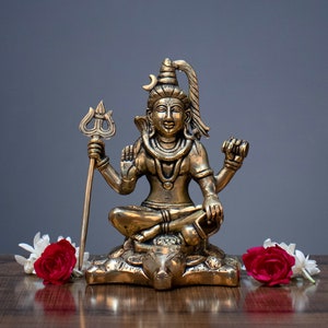 Brass lord shiva idol