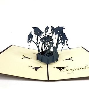 Graduation czapki Pop Up Kirigiami 3D kart ręcznie uniqe urodziny, ślub, Baby shower, rocznica, dzień ojca, dzień matki, sezonowe