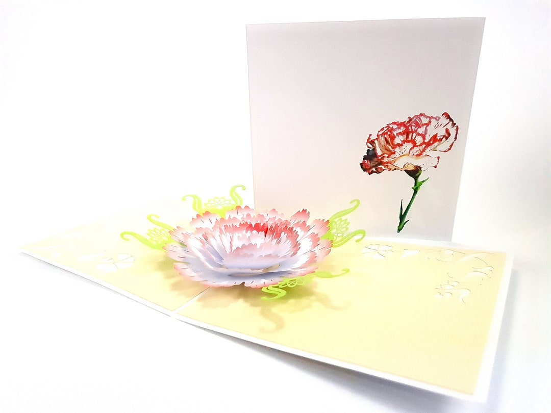 Carnation Flower Pop up Kirigiami 3D Cards Handmade Uniqe Etsy