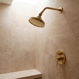 Unlacquered Brass Shower System, 2-Outlet Swiveling Head with Handheld
