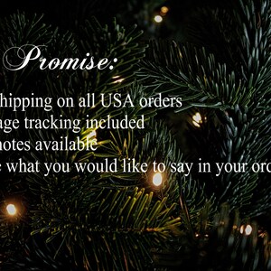 May include: A close-up of a Christmas tree with white lights. The text "Our Promise:" is written in cursive at the top of the image. Below the text are three bullet points: "Free shipping on all USA orders", "Package tracking included", and "Gift notes available". The text "(Include what you would like to say in your order notes)" is written in parentheses below the bullet points.
