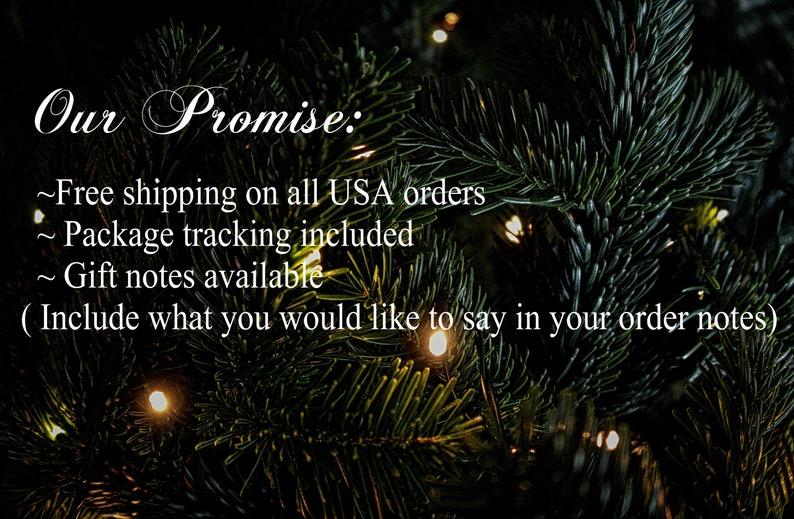 May include: A close-up of a Christmas tree with white lights. The text "Our Promise:" is written in cursive at the top of the image. Below the text are three bullet points: "Free shipping on all USA orders", "Package tracking included", and "Gift notes available". The text "(Include what you would like to say in your order notes)" is written in parentheses below the bullet points.