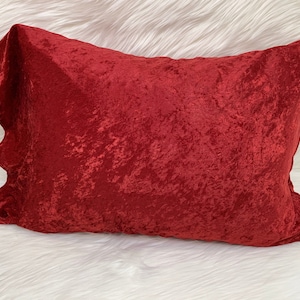 May include: A red velvet pillow with a textured surface.