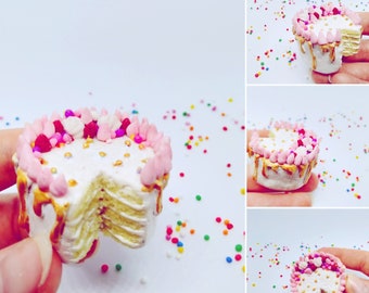 pink cake miniature