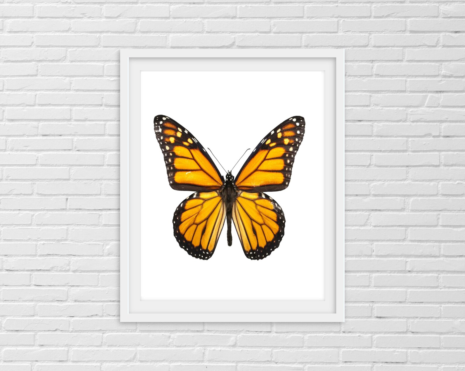 Butterfly Art Print Monarch Butterfly Art Butterfly | Etsy