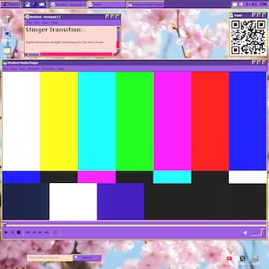 Glitch Stinger Transition – Digital Distortion Effect for Seamless Screen Disruption (1920x1080 | 24 FPS)
