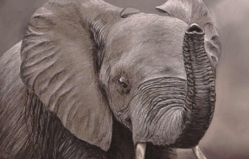 Finished picture Original pastel painting Elefant painting Etsy