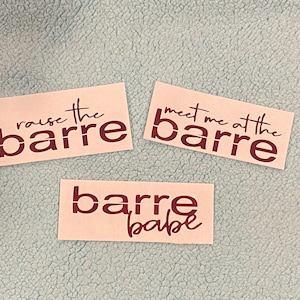 May include: Three pink paper signs with maroon text. The signs say "raise the barre", "meet me at the barre", and "barre babe".
