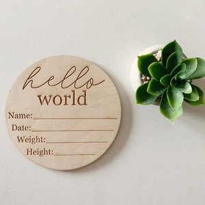 Hello world / Wooden Baby disc  /wood baby plaque