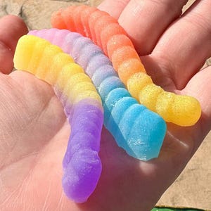 Può includere: Tre colorati vermi gommosi nei toni del viola, giallo, arancione e blu sono tenuti in una mano. Le caramelle gommose hanno un design segmentato strutturato e i colori si fondono in un effetto sfumato.