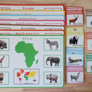 Montessori Animals and Continents Cards/Montessori Flash Card/ Animals and their Continents Sorting Cards