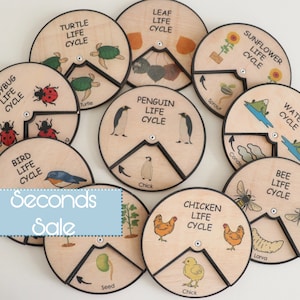 Seconds Sale Learning Wheels (15 cm / 5.90”)