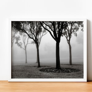 Impresión de árbol, descarga digital, arte imprimible, fotografía en blanco y negro, mínimo, paisaje, impresión de bellas artes, arte de pared horizontal niebla