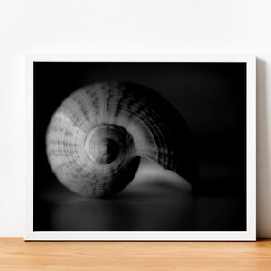 Sea Shell Print - Printable Wall Art, Digital Download, Black White, Beach Decor, Modern Beach Art, Minimalist Prints, Sea Shell Print