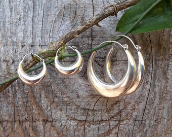 May include: Three silver hoop earrings of different sizes. The earrings are hanging from a branch with green leaves.